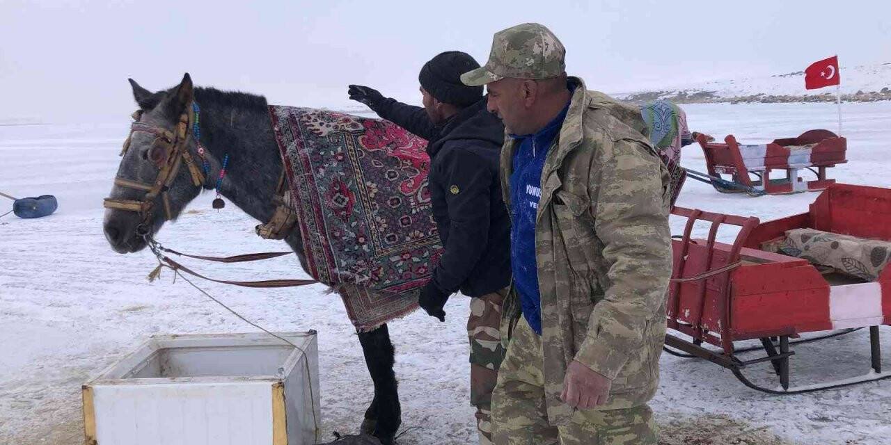 Çıldır’da atları üzerine battaniye örterek koruyorlar