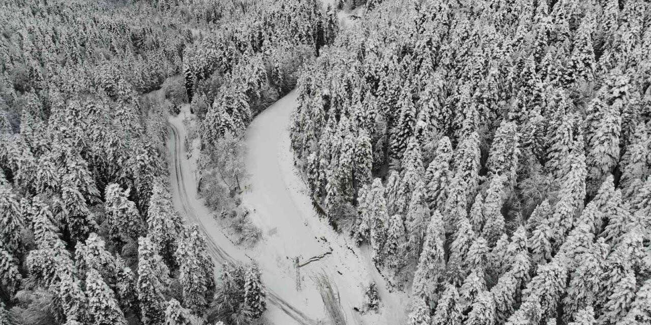 Yedigöller Milli Parkı yolu ulaşıma kapatıldı