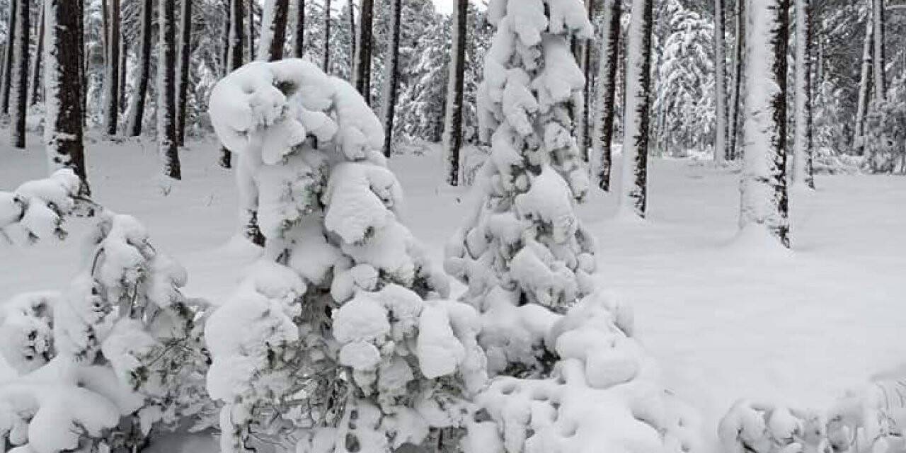Türkmen Dağı beyaza büründü