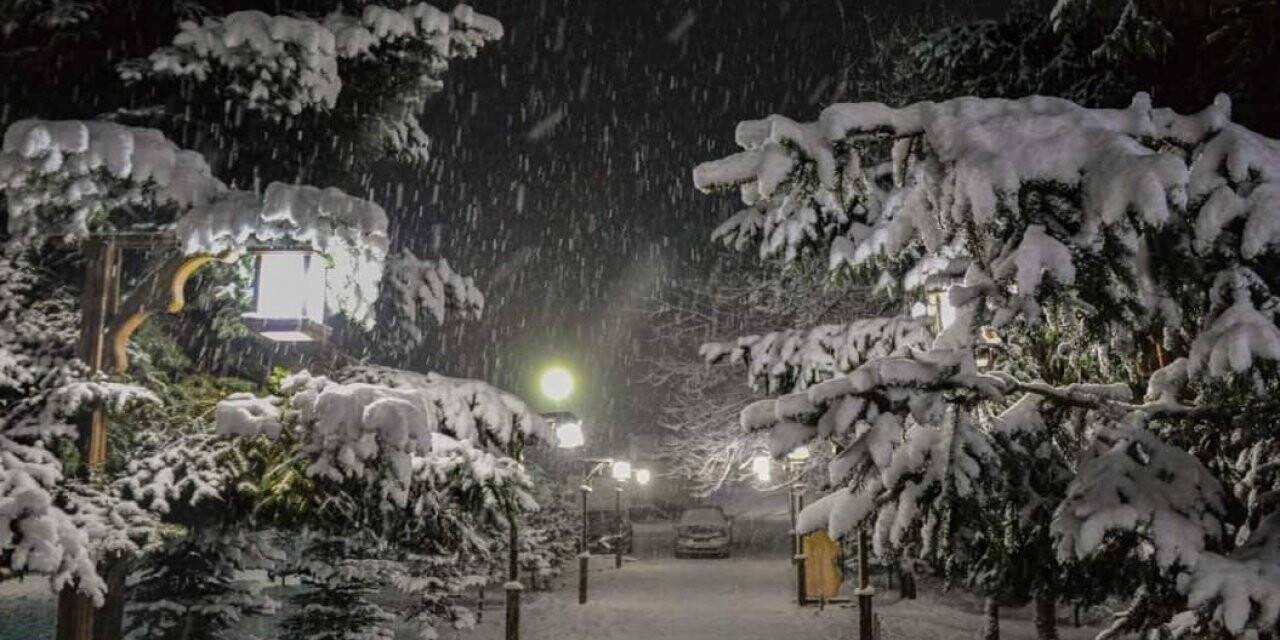 Ordu’nun yükseklerinde kar yağışı