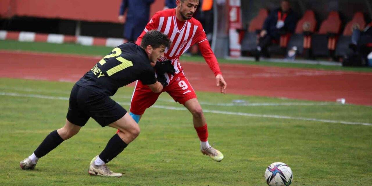 TFF 3. Lig: Gümüşhane Sportif Faaliyetler: 0 - Edirnespor: 1