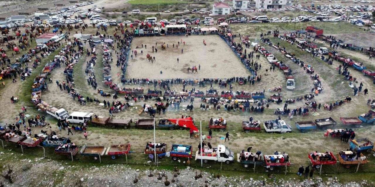 Pehlivan develer kozlarını Buharkent’te paylaştı