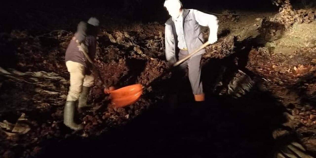 Kestane fiyatları yüzde yüz zamlanınca kestaneciler gece mesaisine başladı