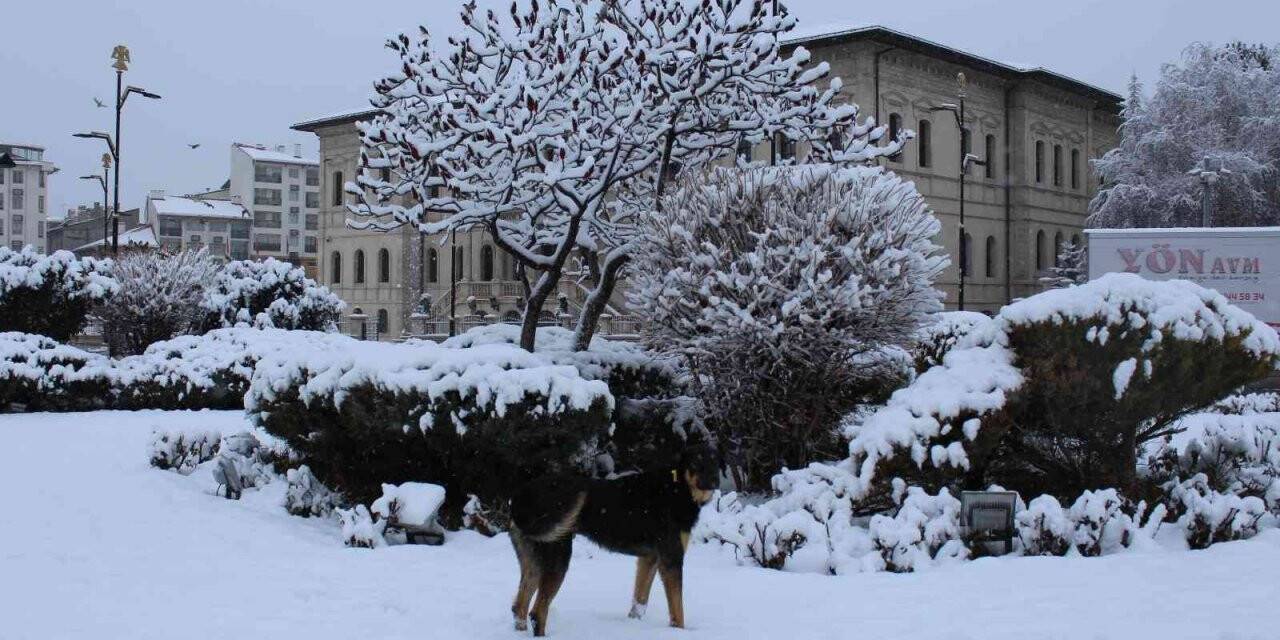 Sivas’ta 234 köy yolu araç ulaşımına kapandı