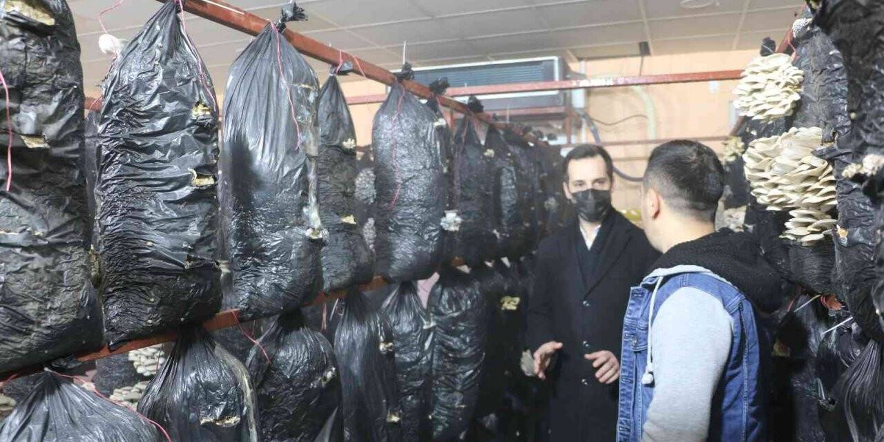 Atıl durumdaki prefabrik, çiftçiler için üretim merkezine çevrildi