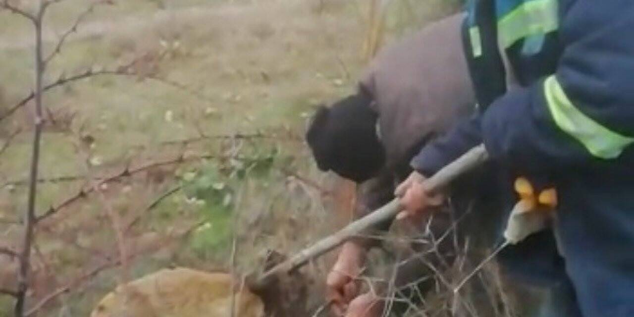 Köylülerin tilkiyi kurtarırken yaptığı konuşmalar güldürdü