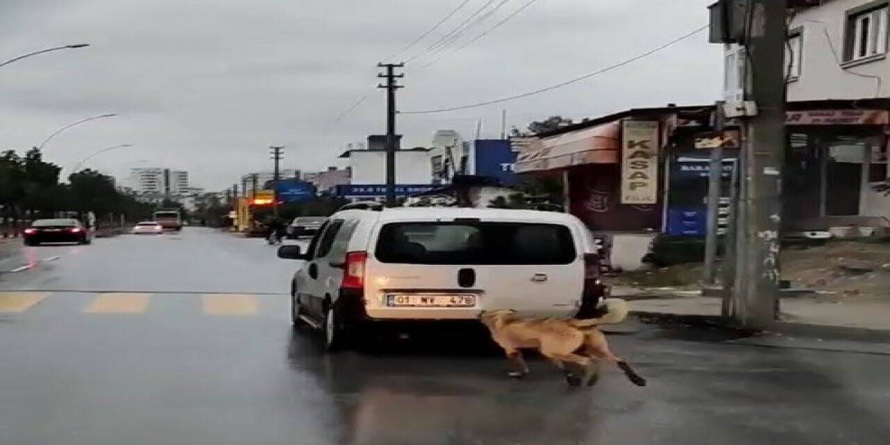 Mersin’de tepki çeken görüntü