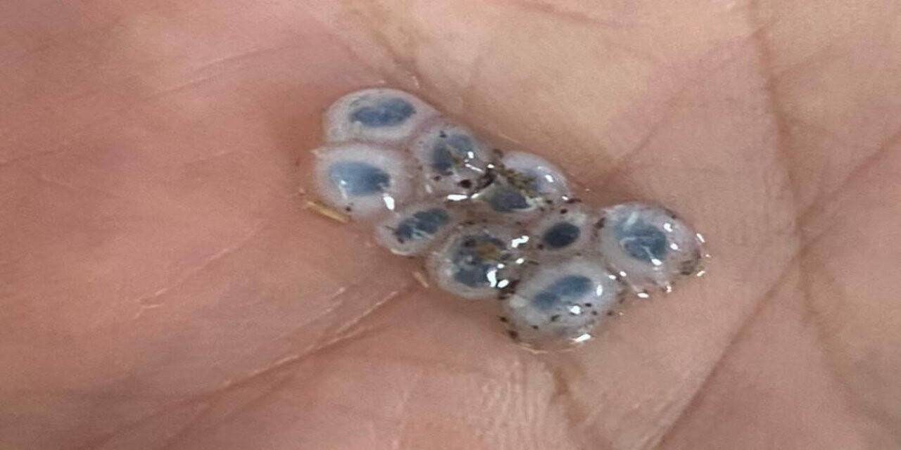 Nazar boncuğu şeklinde dolu yağdı, görenler şaşırıp kaldı