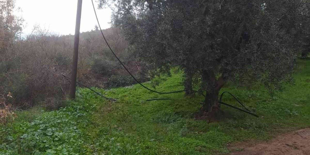 Telefon ve elektrik tellerini kesen hırsızlar jandarmaya yakalandı