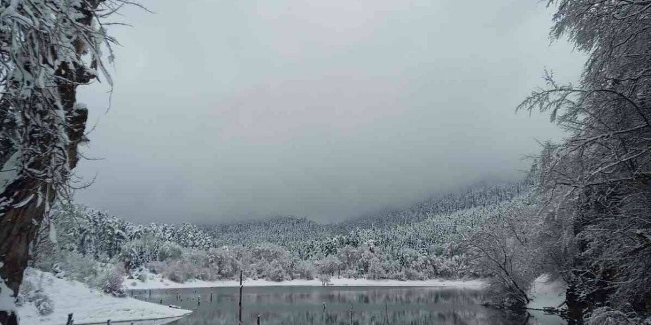 Bolu’da, yürüyüş yapan iki kişinin üzerine ağaç parçası düştü: 1 ölü 1 yaralı