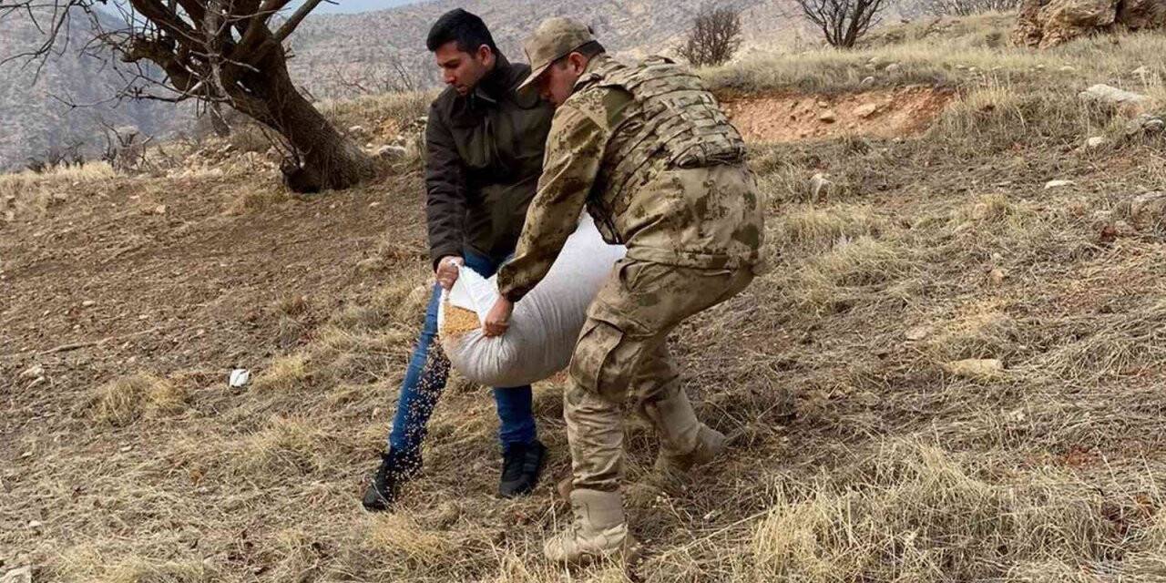 Siirt’te yaban hayvanları için doğaya yem bırakıldı