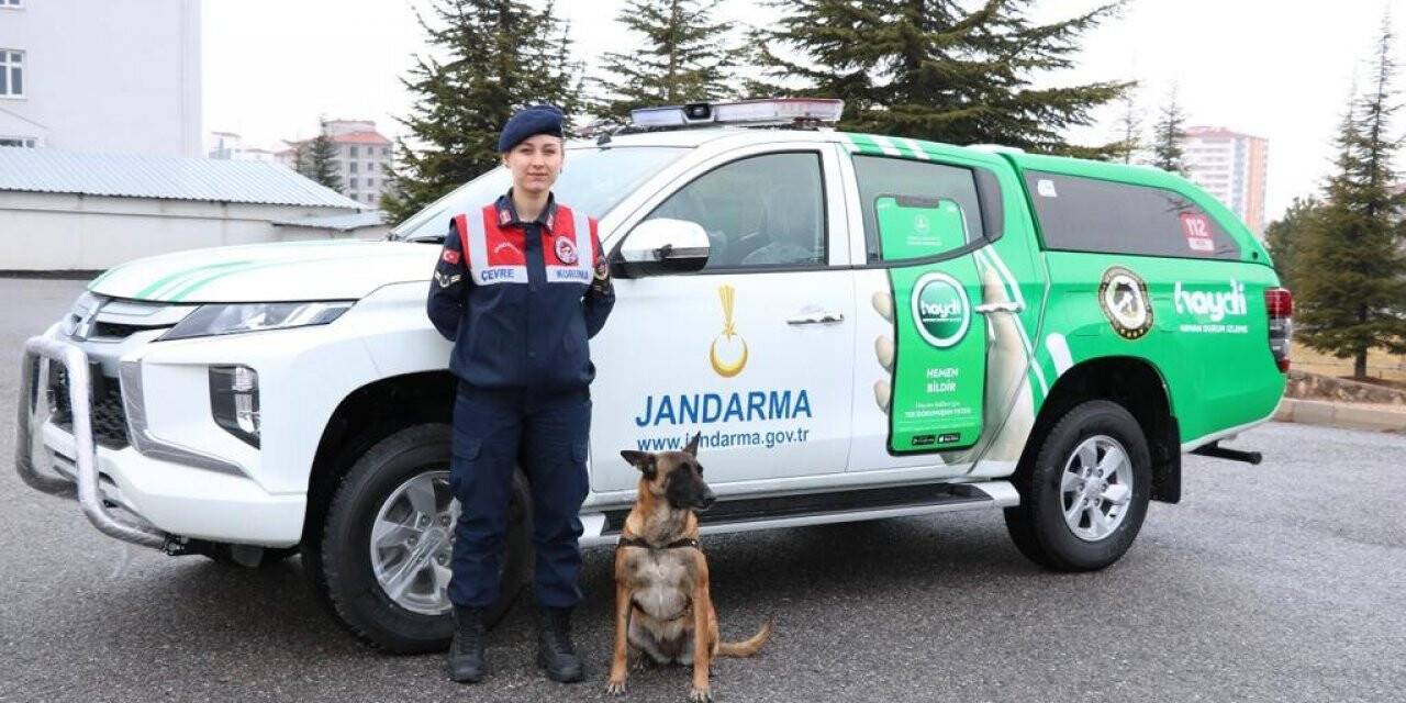Jandarma hayvan koruma timi görev başında