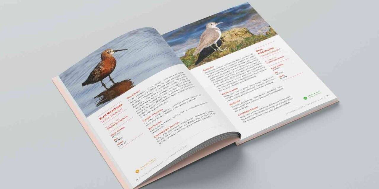 Aliağa Kuş Cenneti ve Güzelhisar Deltası kitaplaştı