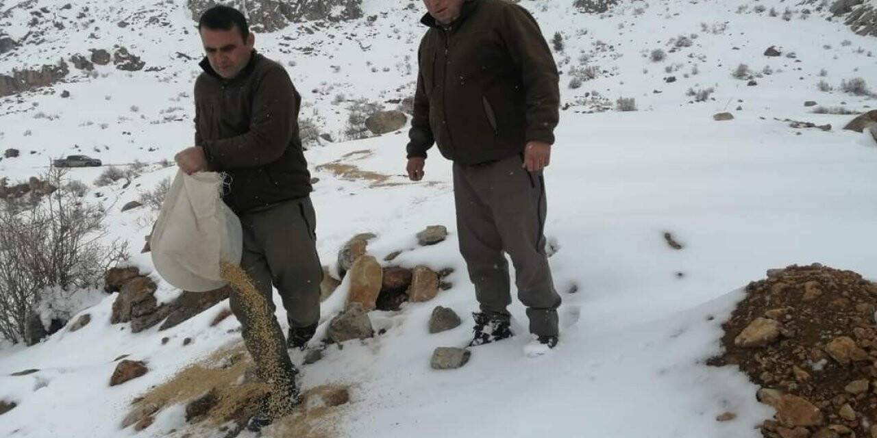 Kayseri’de yaban hayatına destek