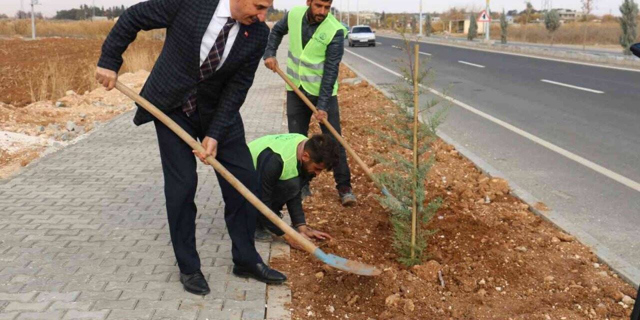 Akçakale’de yeşil atağı sürüyor