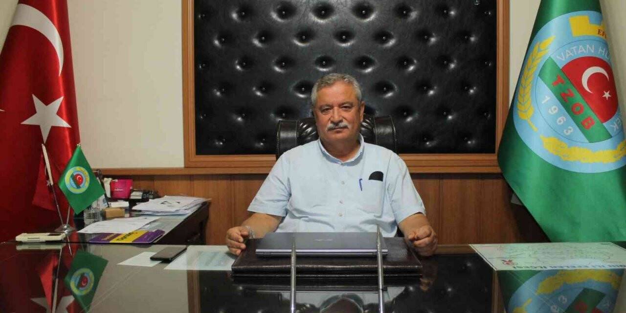 Aydın çiftçisi, sorunlarının çözüme kavuşmasını bekliyor