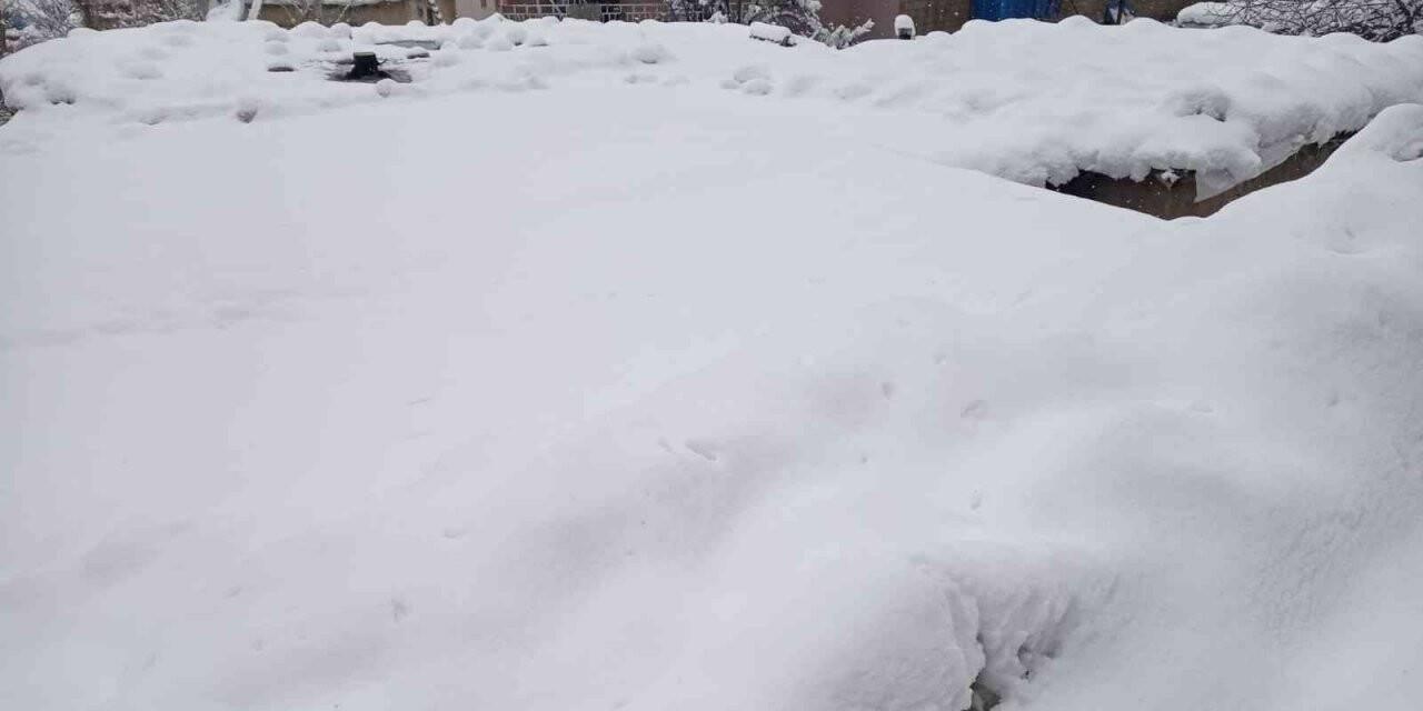 Hakkari’de 159 yerleşim yerinin yolu ulaşıma kapandı