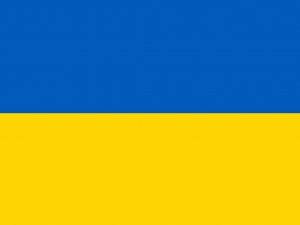 Ukrayna'nın Doğusundaki Gelişmeler