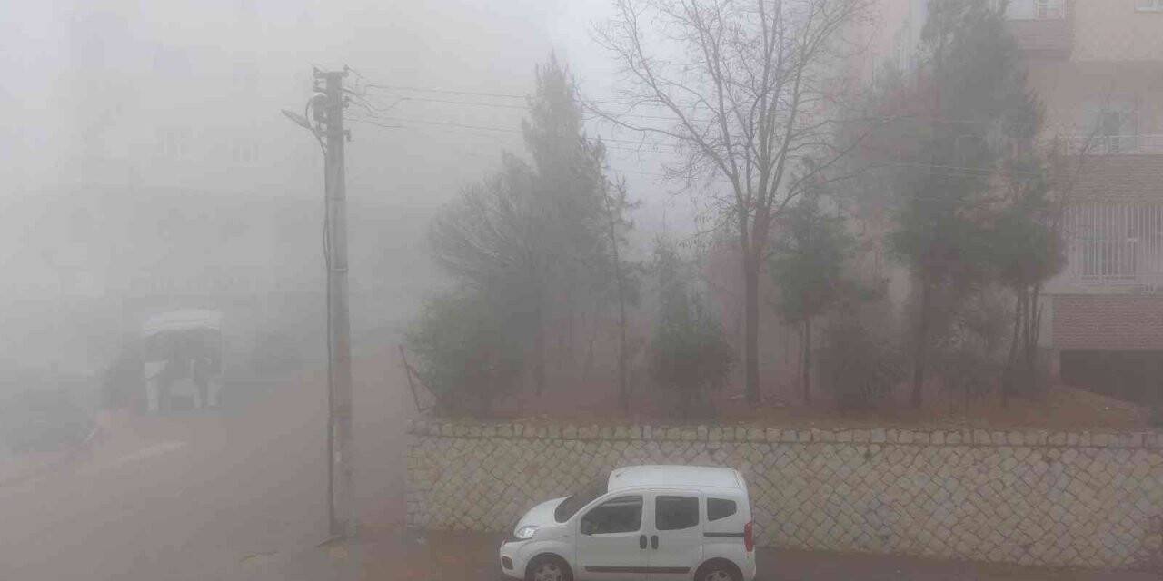 Mardin’de yoğun sis, göz gözü görmüyor