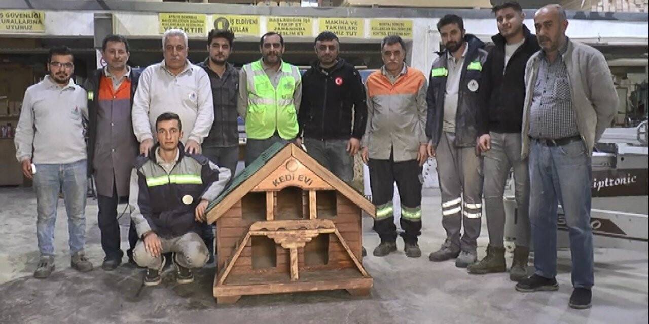 Eski kamelyalardan kedi evi yapıyorlar