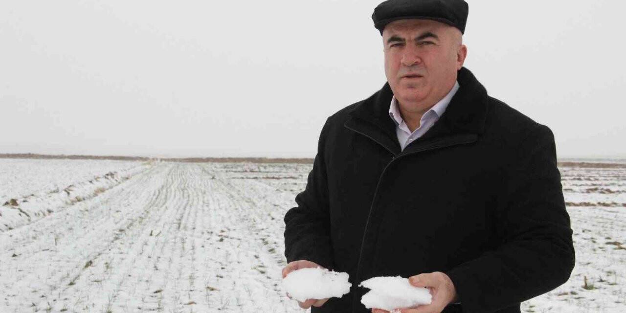 Karaman’da son yağışlar çiftçiyi sevindirdi