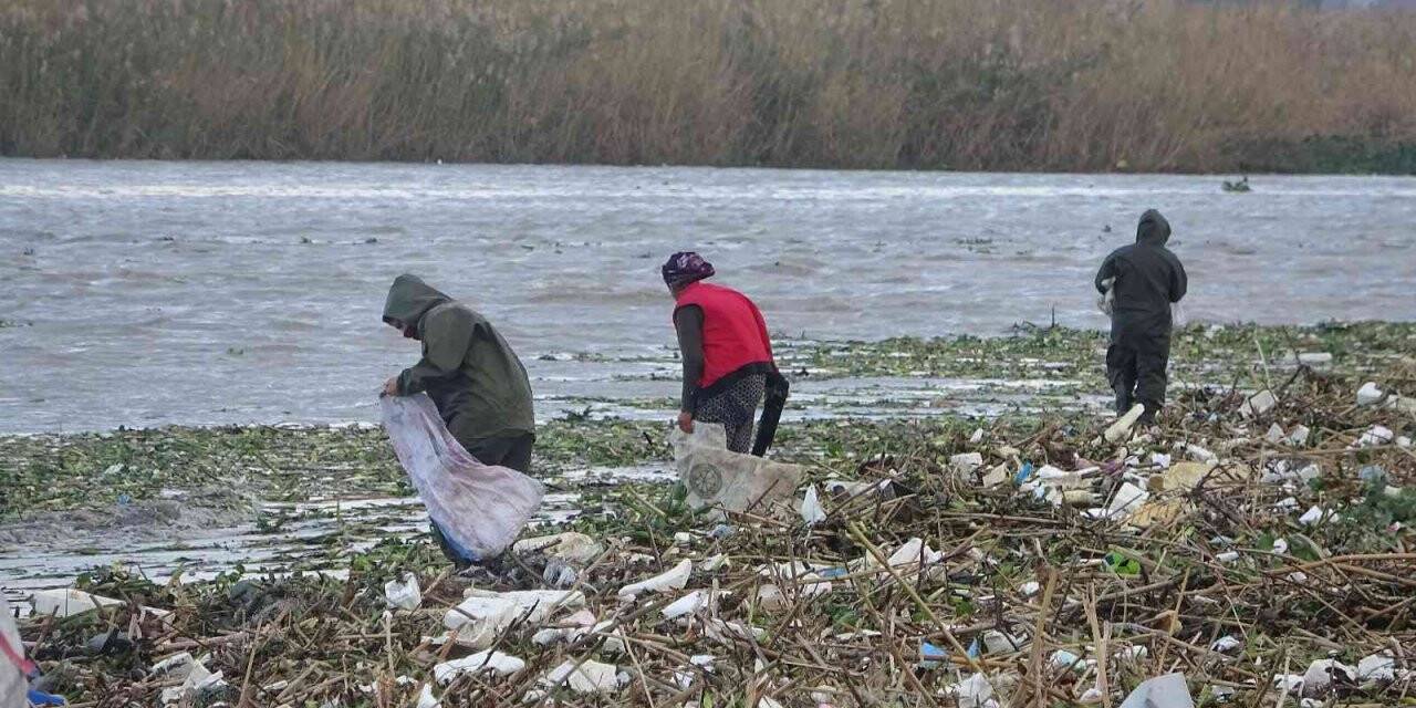 Sahile vuran odunlar kışlık yakacakları oldu