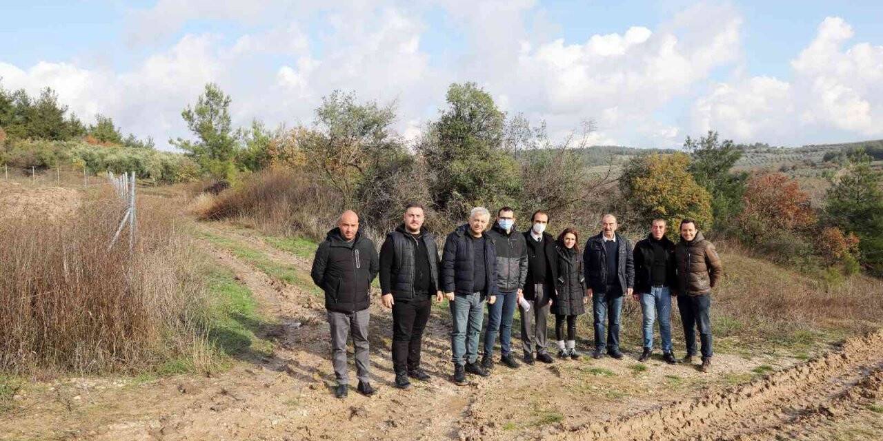 Mudanya Belediyesi ayçiçek yağı ve buğday unu üretecek