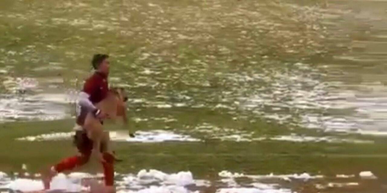 Maçı durduran köpeği futbolcu kucağına alarak çıkardı