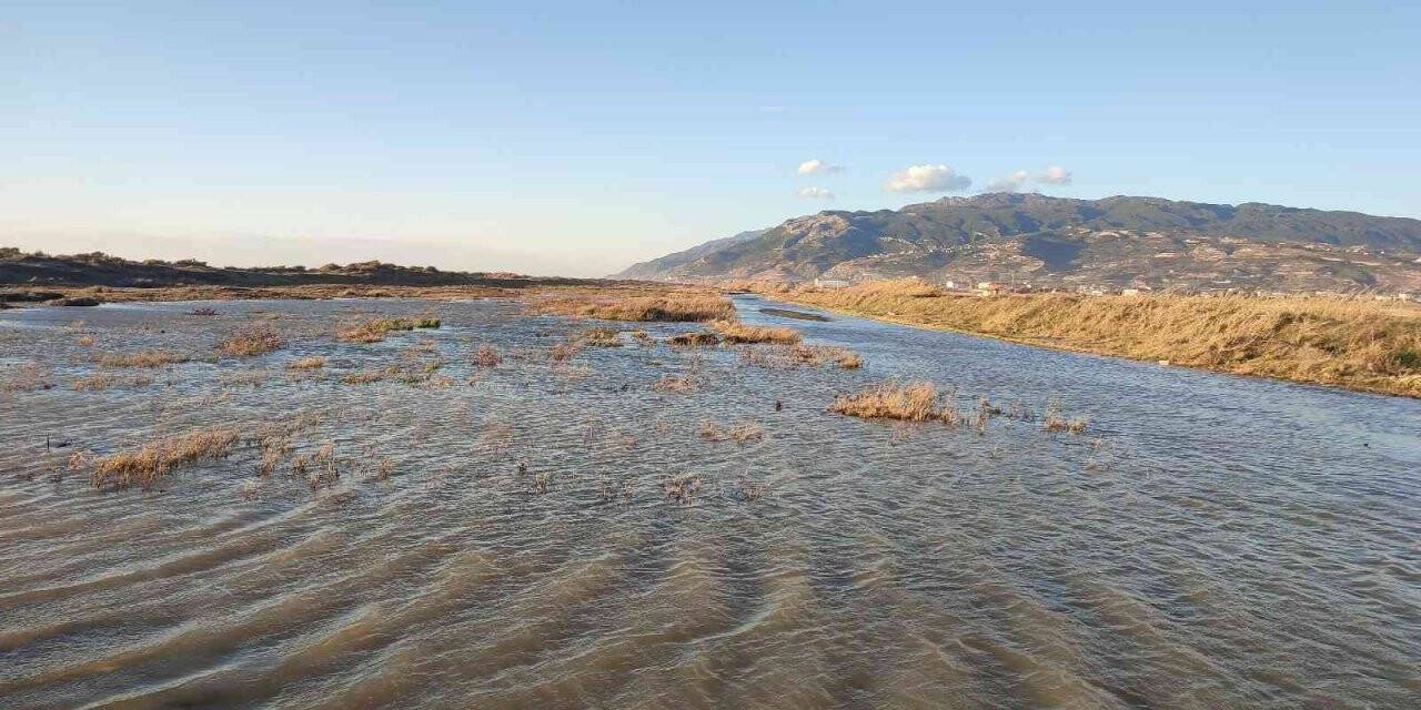 Milleyha Kuş Cenneti yağış sonrası göletler ile doldu
