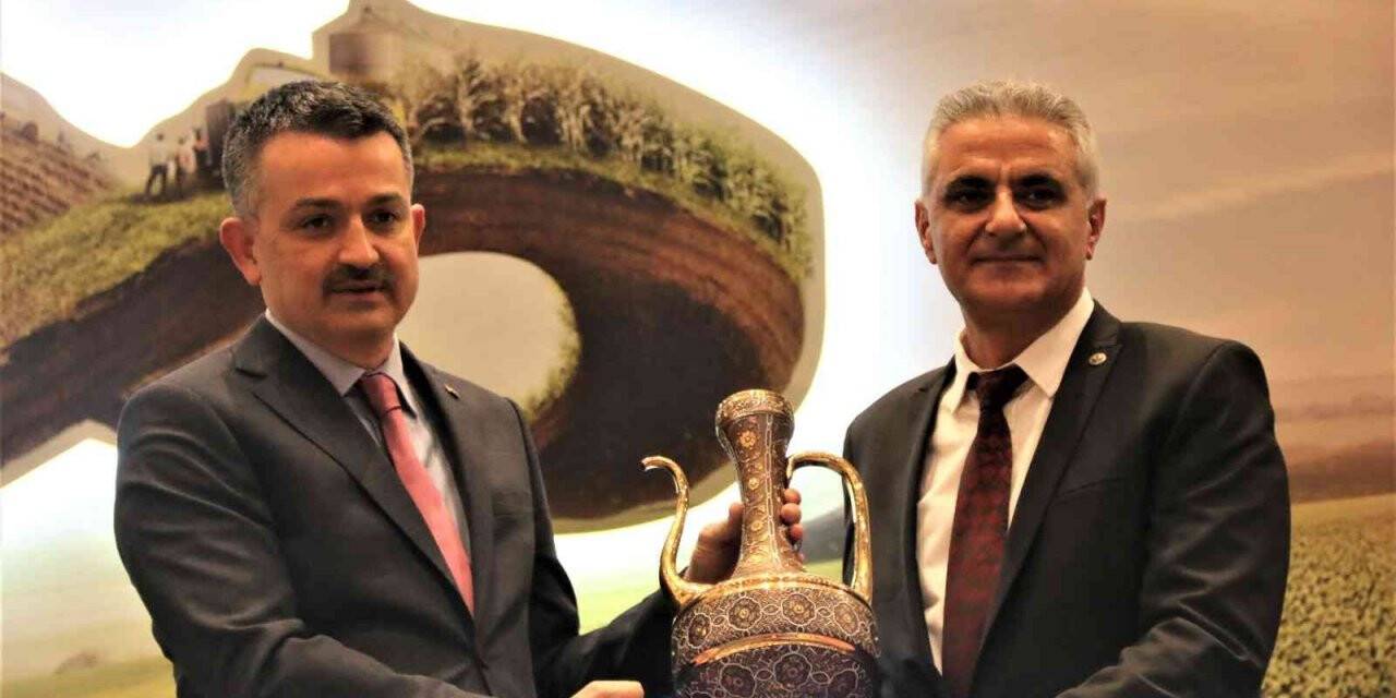 Bakan Pakdemirli: “Ülkemizde kullanılan tohumlukların yüzde 96’sı yurt içinde üretilmektedir”