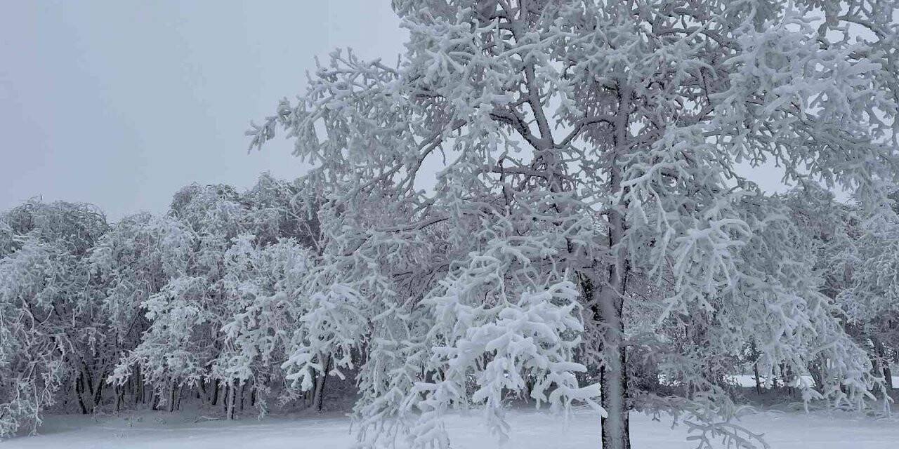 Eskişehir’den kartpostallık kış fotoğrafları