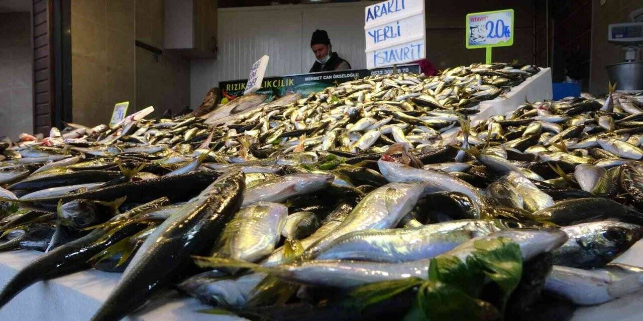 Balık av sezonunun yarısına gelindiğinde hamsi kayıplara karıştı