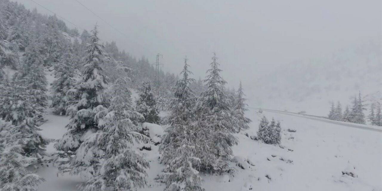 Beyaz gelinlikli orman drone ile görüntülendi