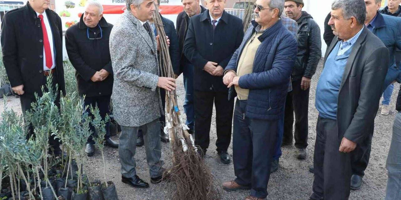 Manisalı üreticilere fidan desteği devam ediyor