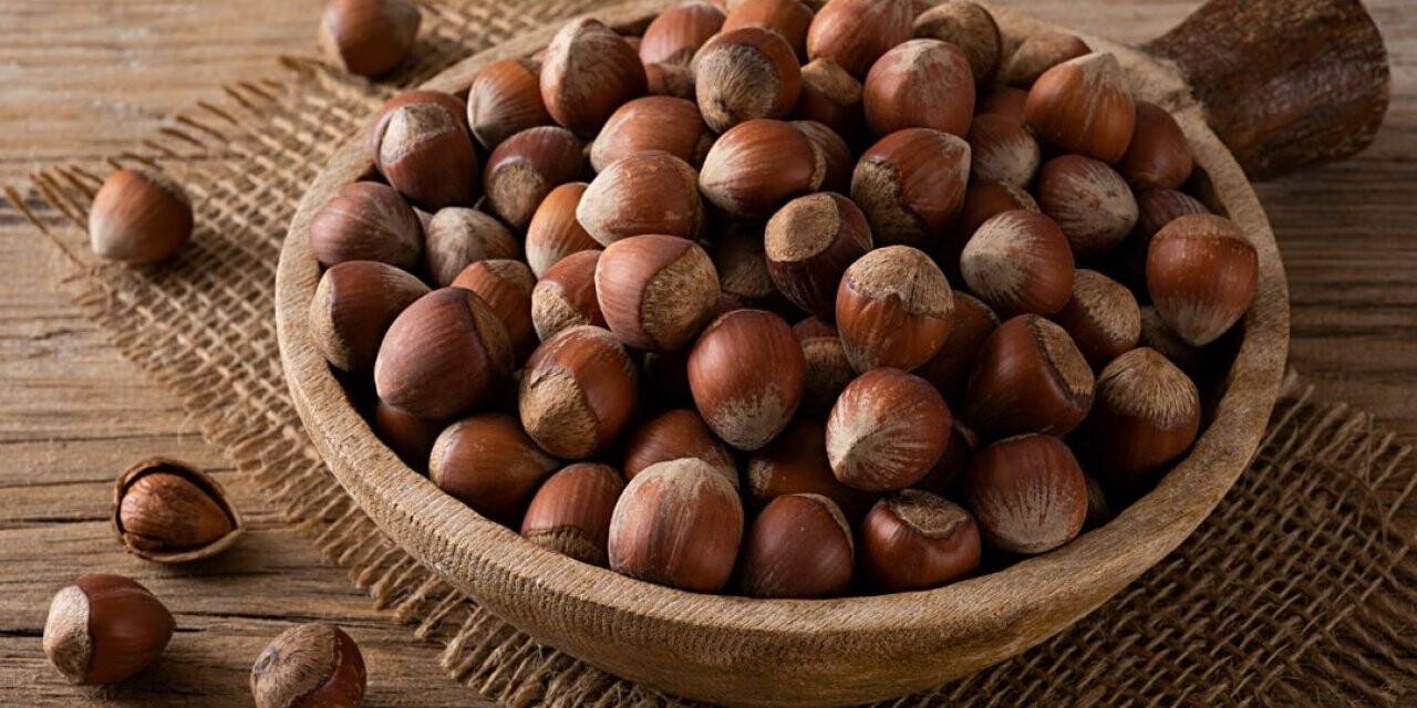 Döviz düşerken fındık fiyatı da düştü