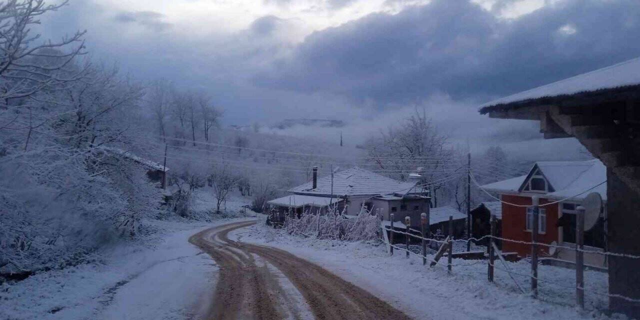 Kumru beyaza büründü