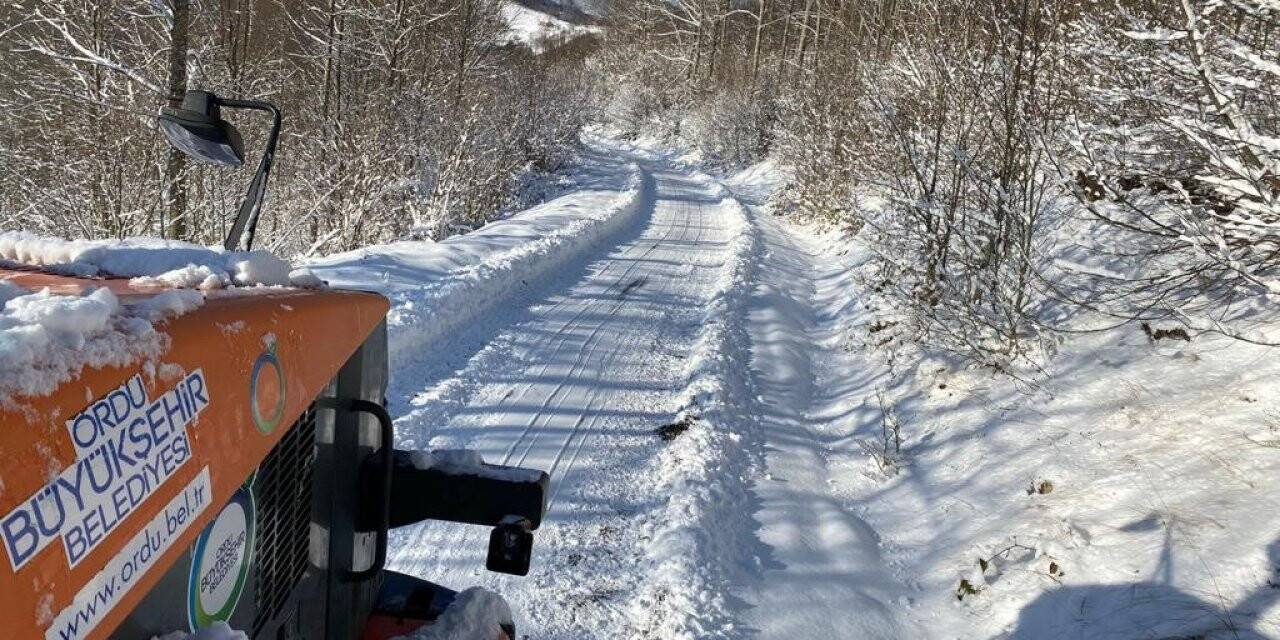 Ordu’nun yüksek kesimlerinde kar 30 cm
