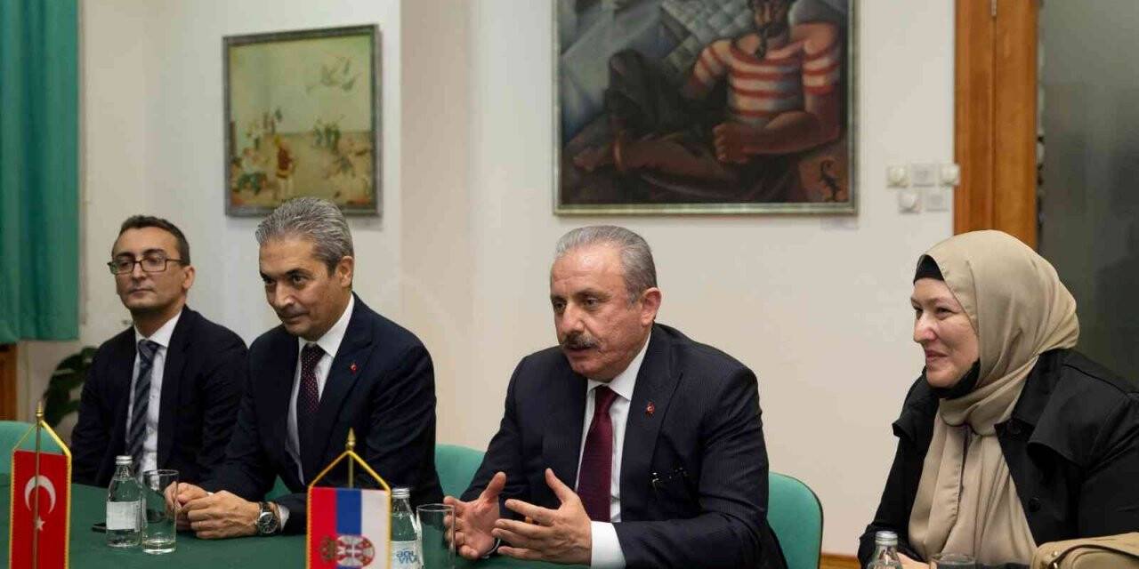 TBMM Başkanı Şentop: Türkiye ve Sırbistan arasındaki dostluk bizim için çok önemli
