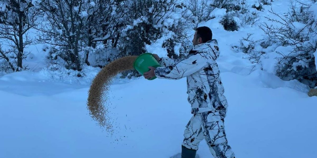 Seydişehir'de doğaseverler kuşlara yem bıraktı