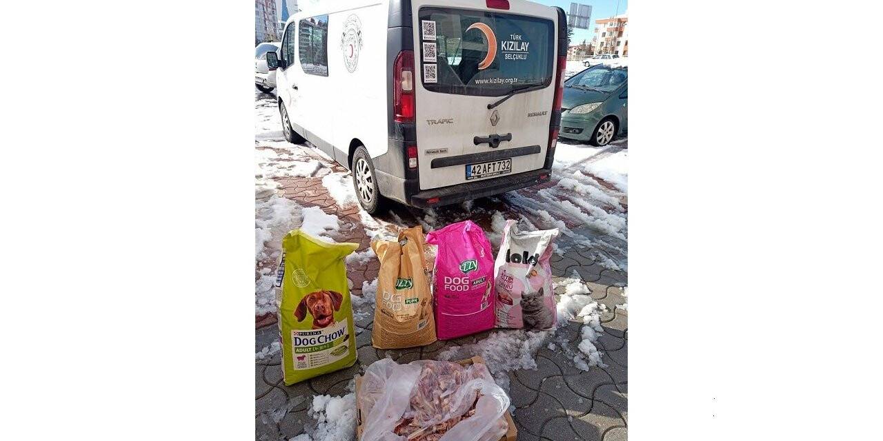 Kızılaycı kadınlar hayvanlar için doğaya yem bıraktı