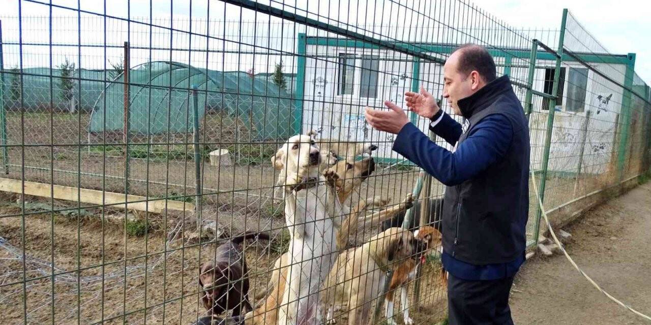 Köpek eğitim ve papağan üretim merkezleri ruhsatlandırıldı