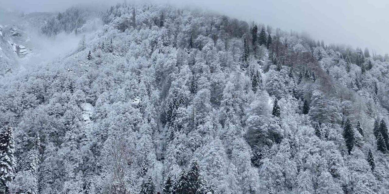 Rize’de kar yağışı nedeniyle 40 köy yolu ulaşıma kapandı