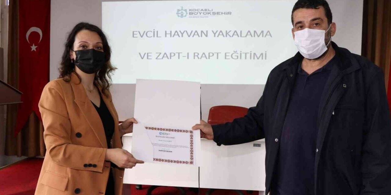 Sokak hayvanlarını yakalama ve toplama eğitimi