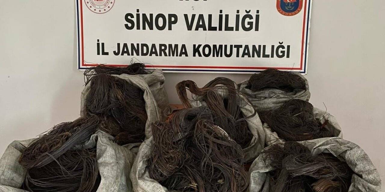 Sinop’ta kablo hırsızlığı operasyonu: 3 gözaltı
