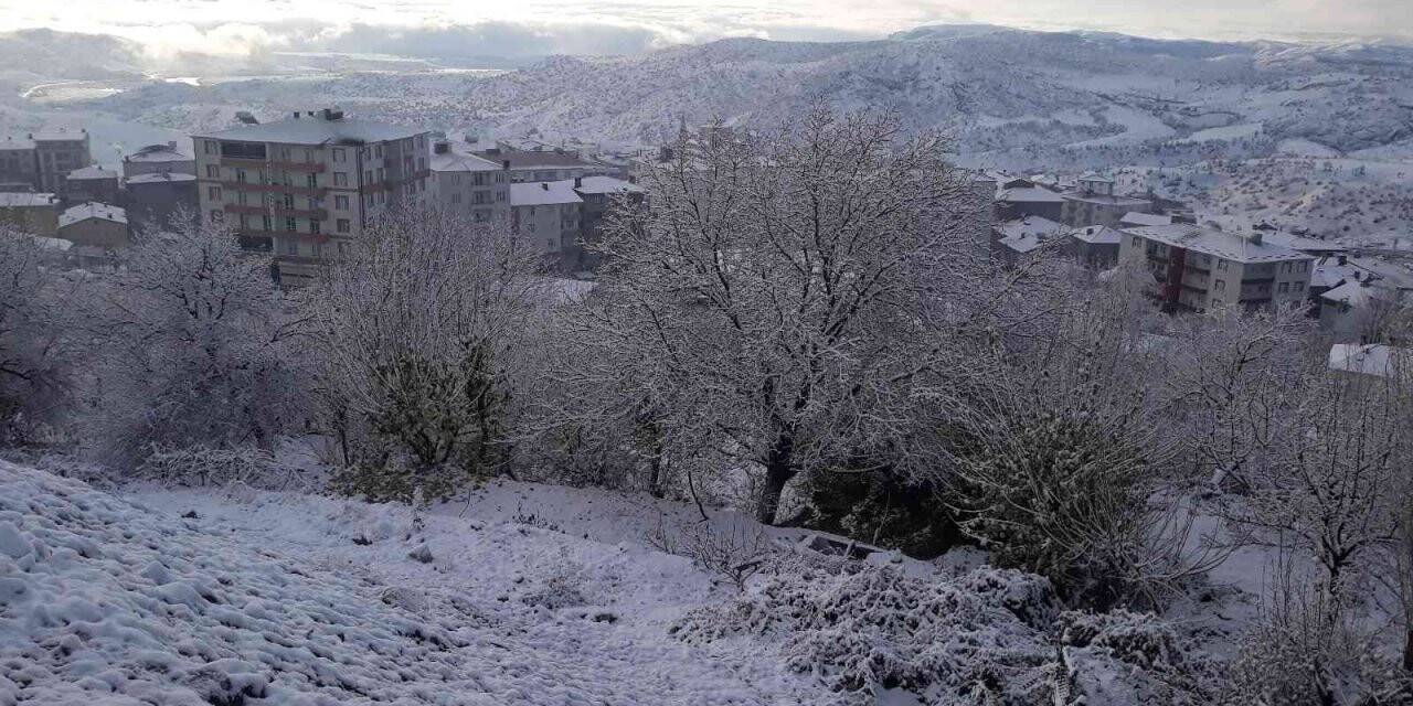 Kulp’ta mevsimin ilk karı yağışıyla eğitime 1 gün ara verildi