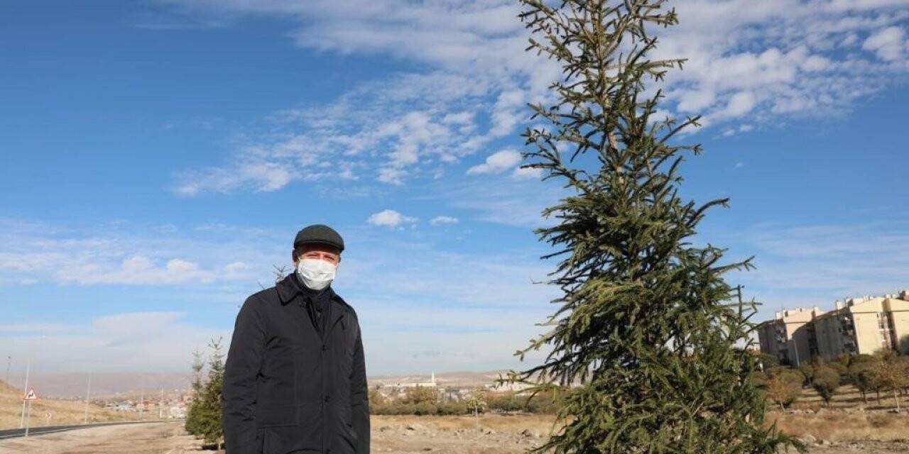 Başkan Çolakbayrakdar: “Bu yıl 100 binden fazla ağacı toprakla buluşturduk”