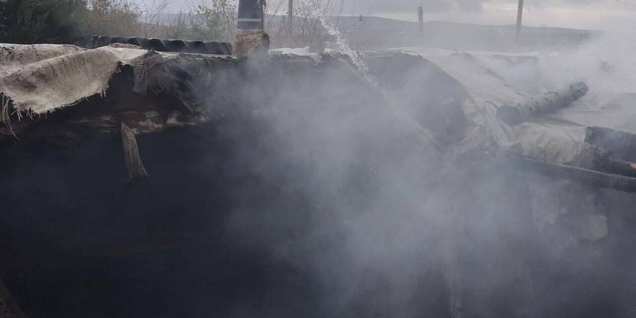 Siirt’te ahırda çıkan yangında 5 hayvan telef oldu
