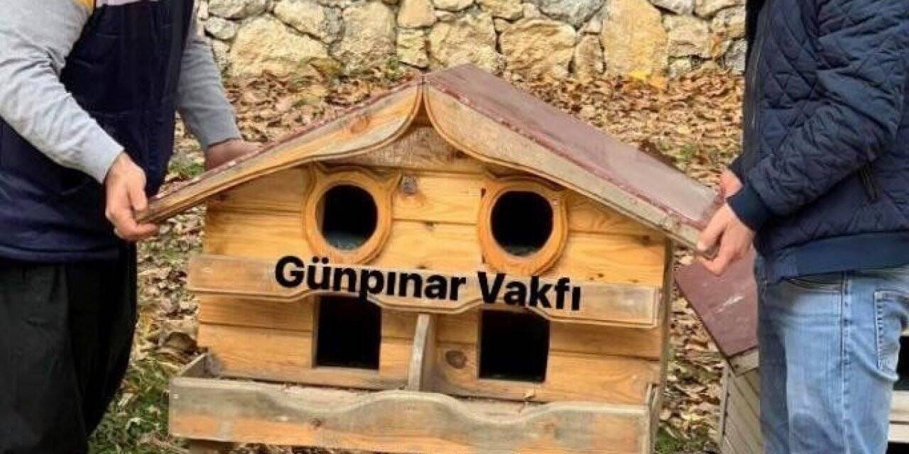 Kış öncesi sokak kedilerine şefkat eli