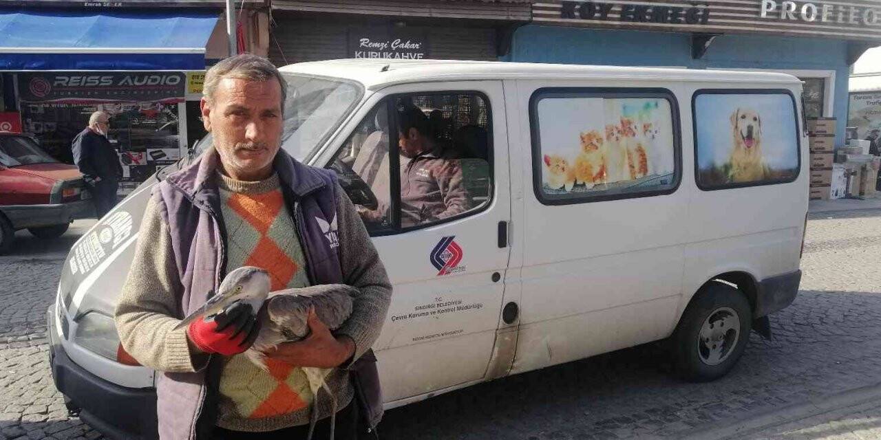 Yaralı kuşa belediye ekipleri sahip çıktı