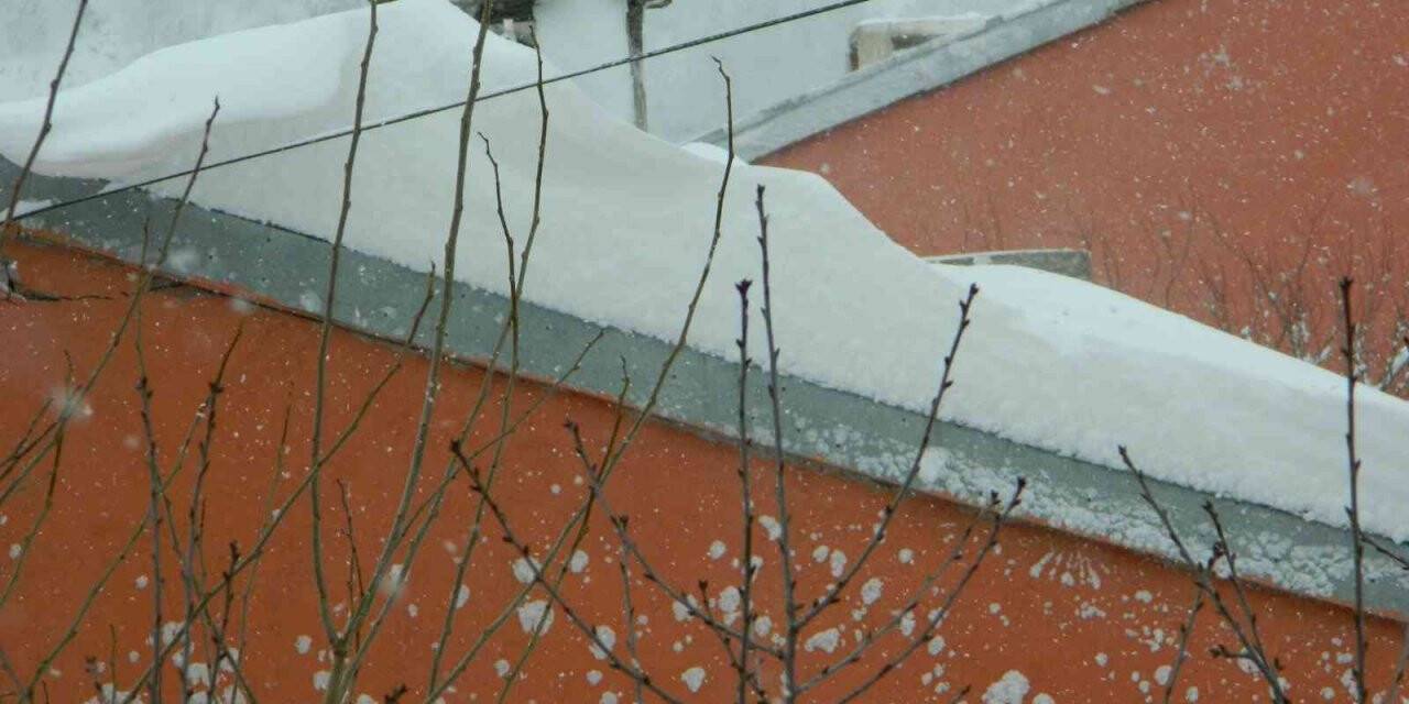 Kar Posof’ta okulları ve yolları kapattı